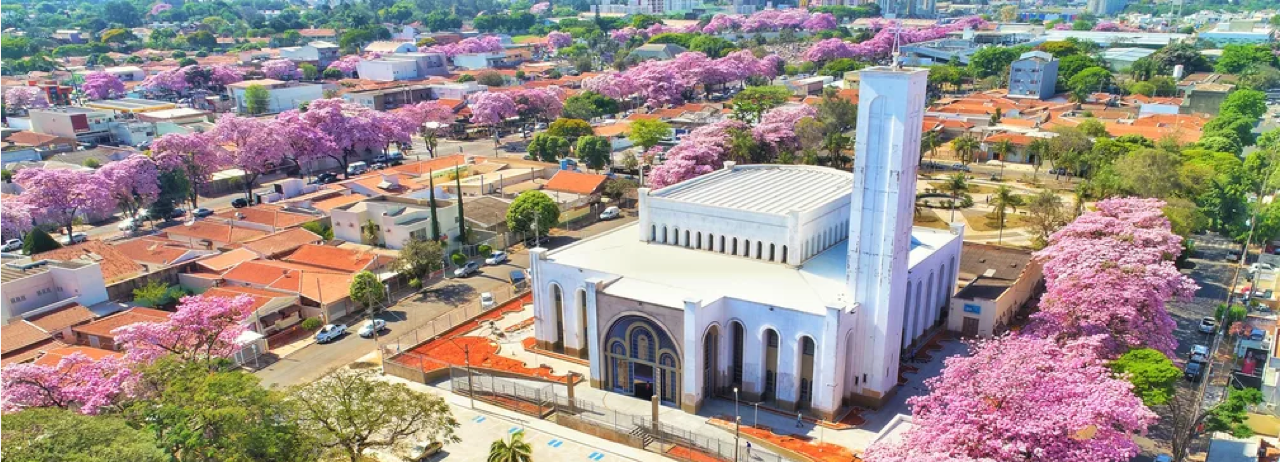 Foto aérea de Paulinia